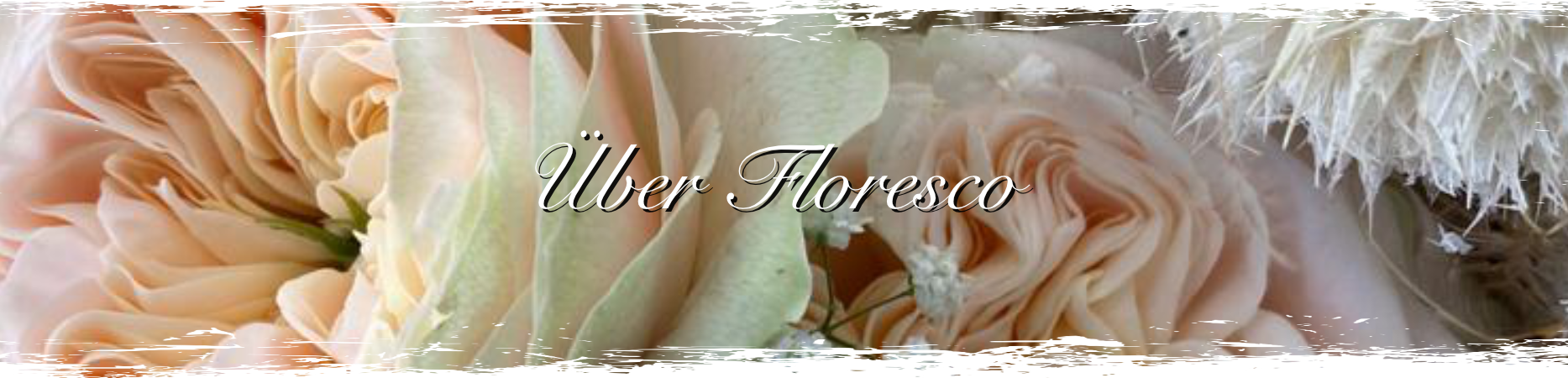 Banner mit Blumen und dem Text Über Floresco